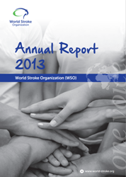 Annual Report 2013