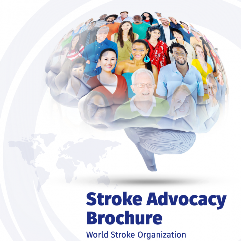 WSO Advocacy Brochure