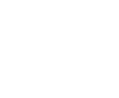 World Stroke Organization