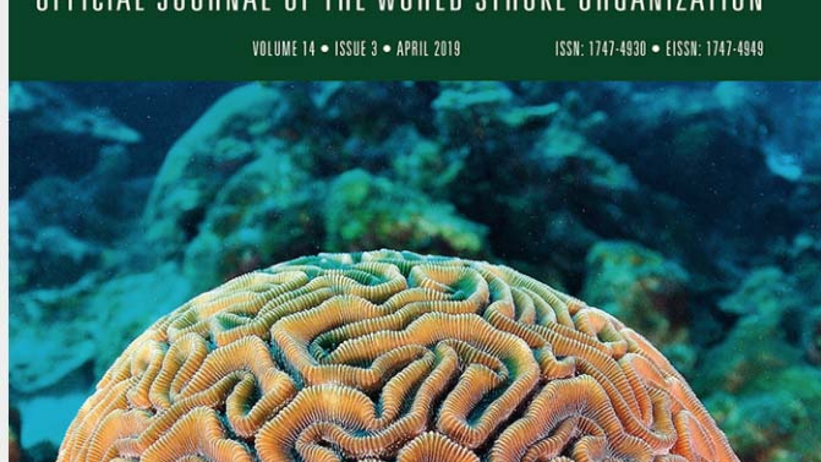 Informal caregivers in stroke: life impact, support and psychological well-being - a Swedish Stroke Register (Riksstroke) study with Stefan Sennfalt